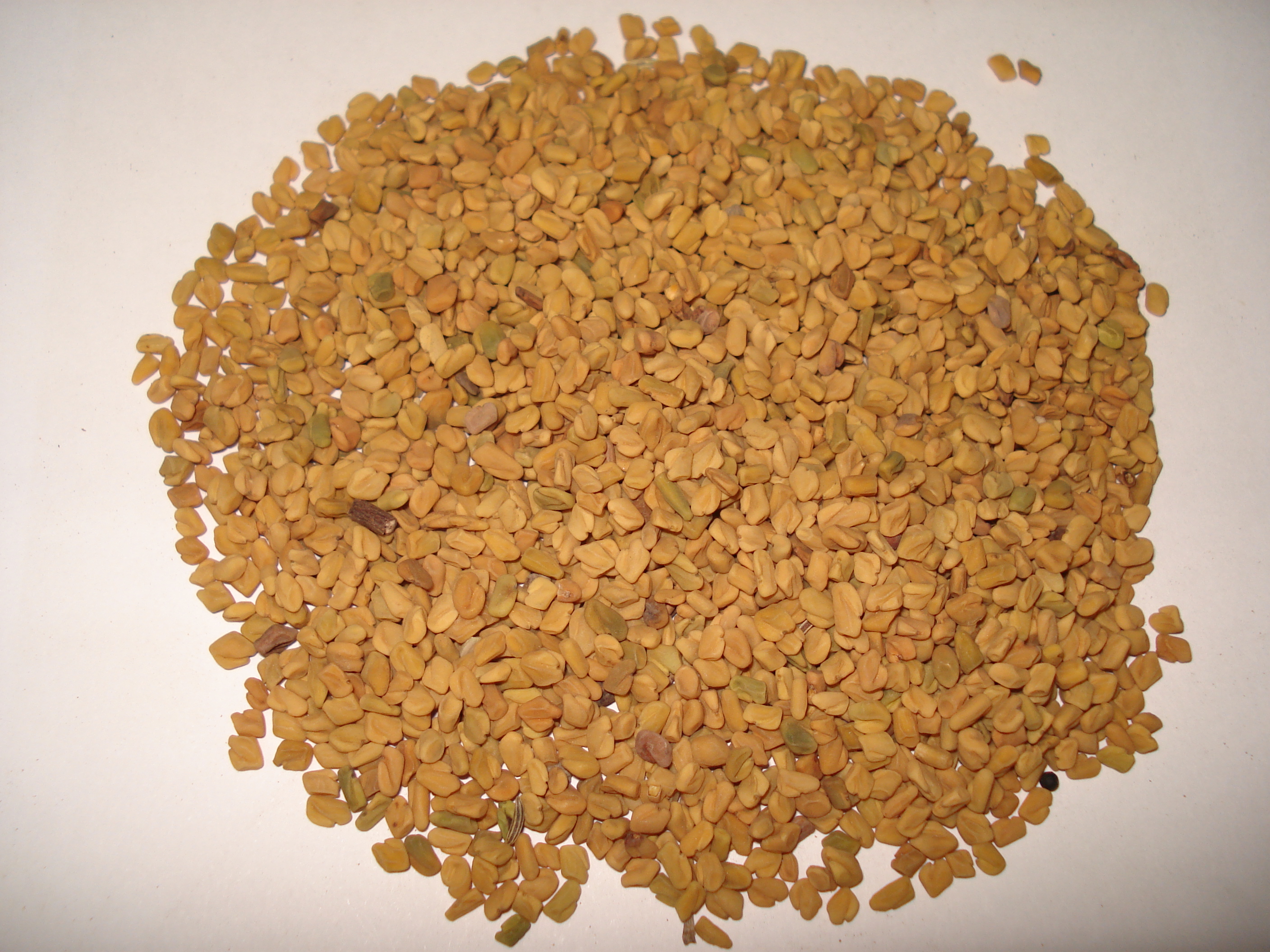 Fenugreek Seeds, Whole