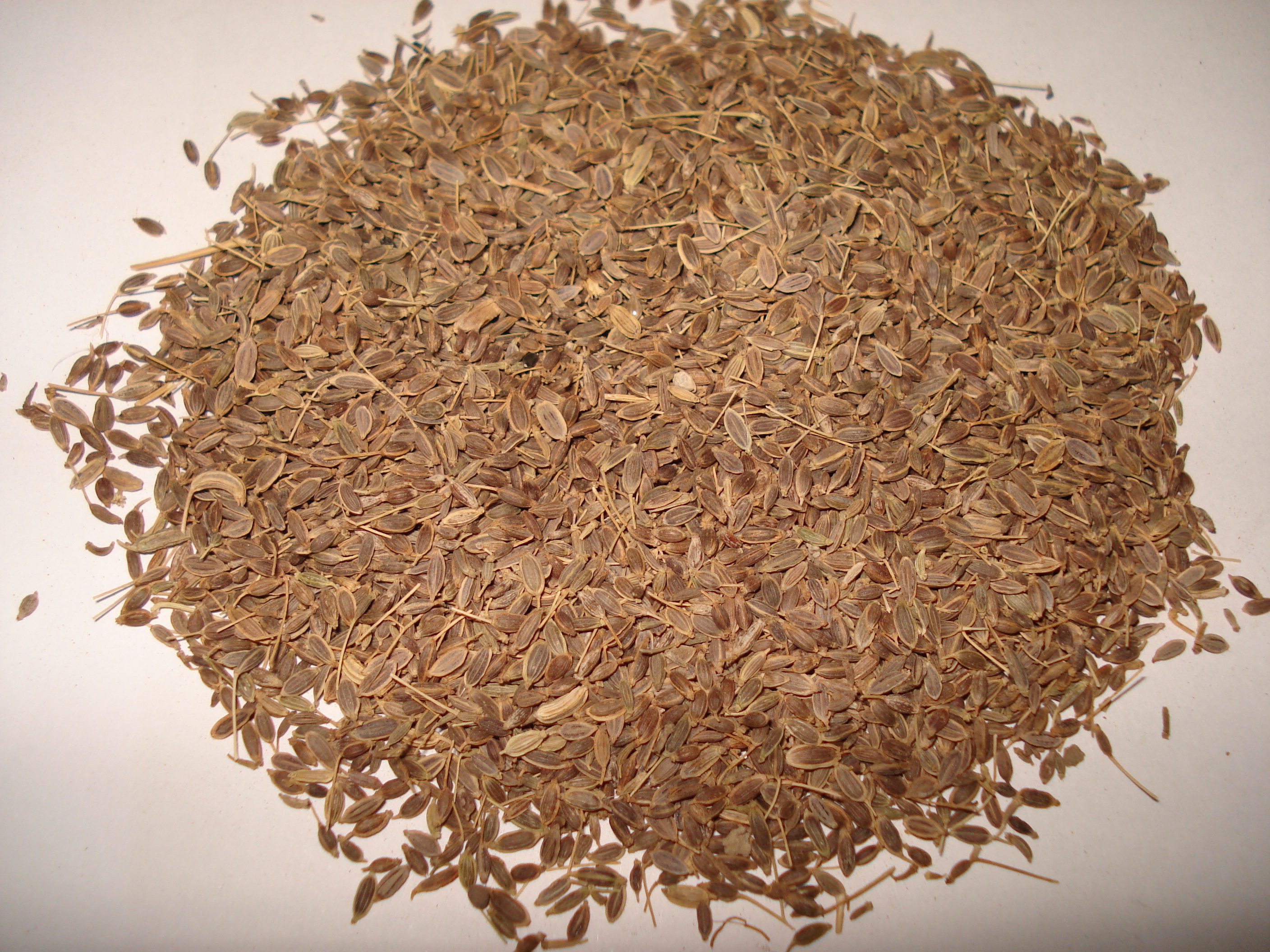 Dill Seeds, Whole